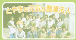 �o�i�[�E�Ƃ�܂̌��C�Ȕ_�Ɩ@�l
