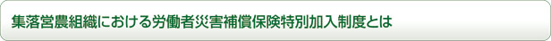 集落営農組織における労働者災害補償保険特別加入制度とは