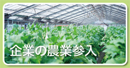 バナー・企業の農業参入
